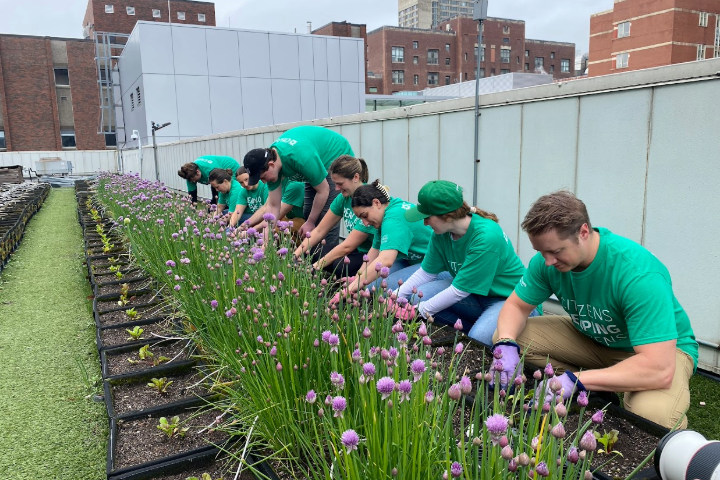 Citizens Rooftop Farm Volunteers